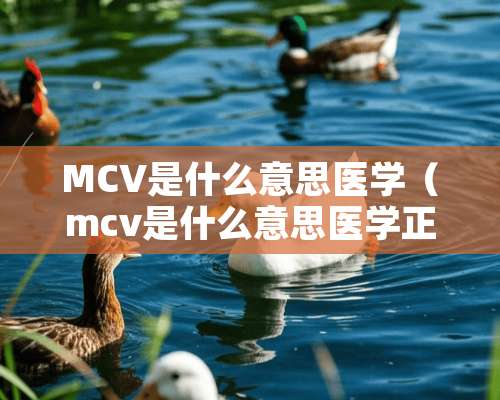 MCV是什么意思医学（mcv是什么意思医学正常值是多少）