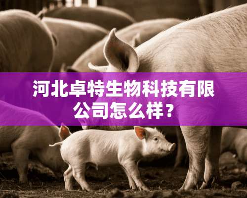 河北卓特生物科技有限公司怎么样？