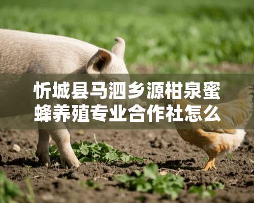 忻城县马泗乡源柑泉蜜蜂养殖专业合作社怎么样？