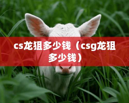 cs龙狙多少钱（csg龙狙多少钱）