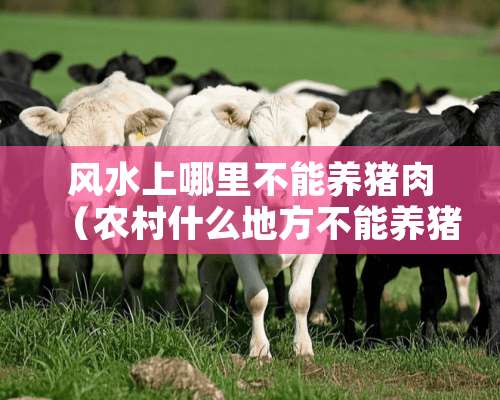 风水上哪里不能养猪肉（农村什么地方不能养猪）