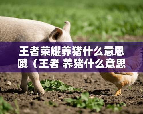 王者荣耀养猪什么意思哦（王者 养猪什么意思）