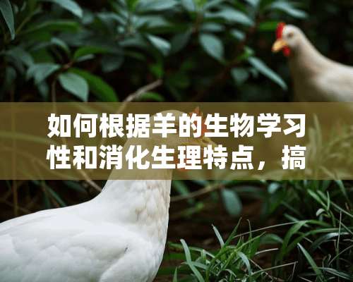 如何根据羊的生物学习性和消化生理特点，搞好羊的饲养管理