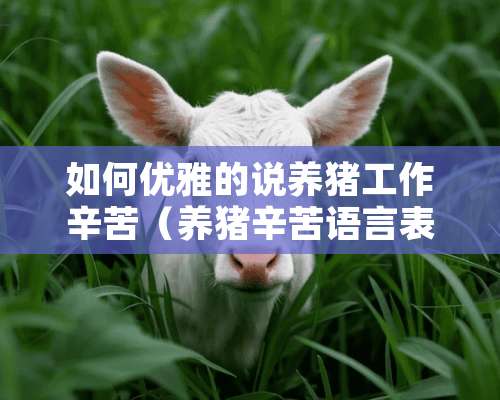 如何优雅的说养猪工作辛苦（养猪辛苦语言表达）