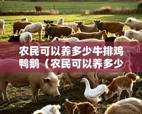 农民可以养多少牛排鸡鸭鹅（农民可以养多少牛排鸡鸭鹅呢）