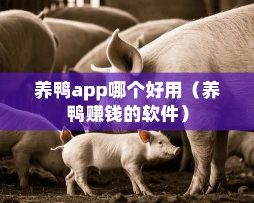 养鸭app哪个好用（养鸭赚钱的软件）