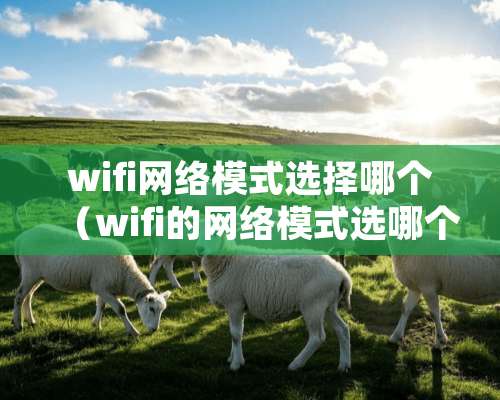 wifi网络模式选择哪个（wifi的网络模式选哪个）