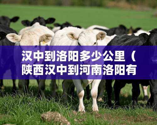 汉中到洛阳多少公里（陕西汉中到河南洛阳有多远）