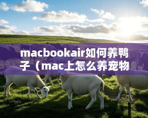 macbookair如何养鸭子（mac上怎么养宠物）