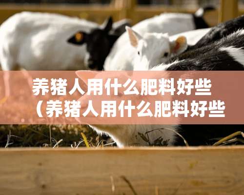 养猪人用什么肥料好些（养猪人用什么肥料好些呢视频）