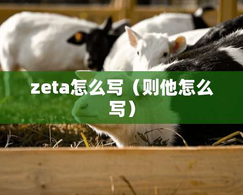 zeta怎么写（则他怎么写）