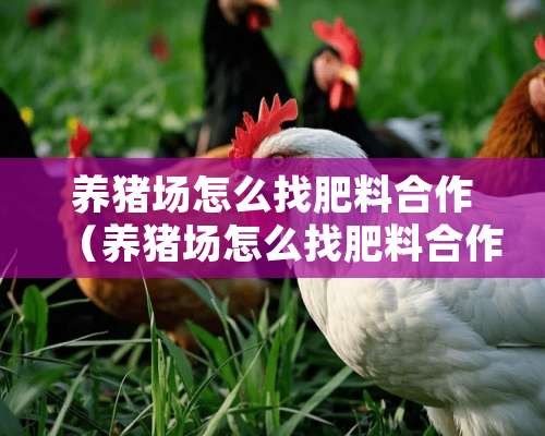 养猪场怎么找肥料合作（养猪场怎么找肥料合作的）