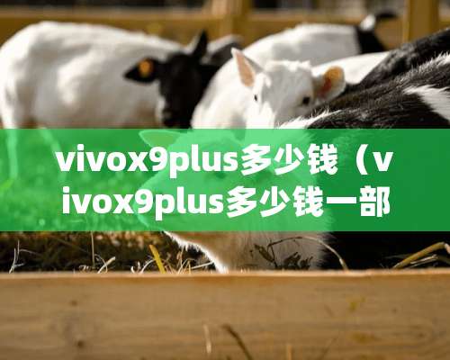 vivox9plus多少钱（vivox9plus多少钱一部市场价）