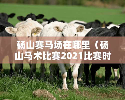 砀山**场在哪里（砀山马术比赛2021比赛时间）