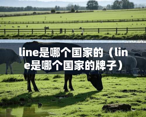 line是哪个国家的（line是哪个国家的牌子）