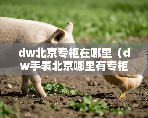 dw北京专柜在哪里（dw手表北京哪里有专柜吗）