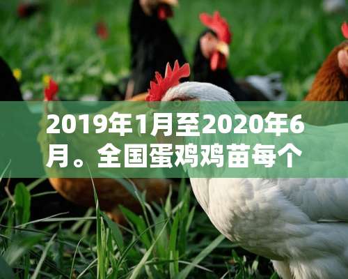 2019年1月至2020年6月。全国蛋鸡鸡苗每个月的销量各是多少？