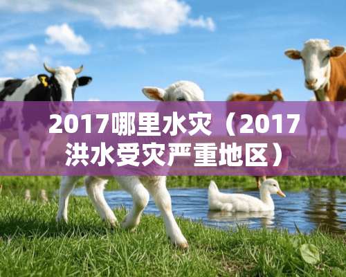 2017哪里水灾（2017洪水受灾严重地区）