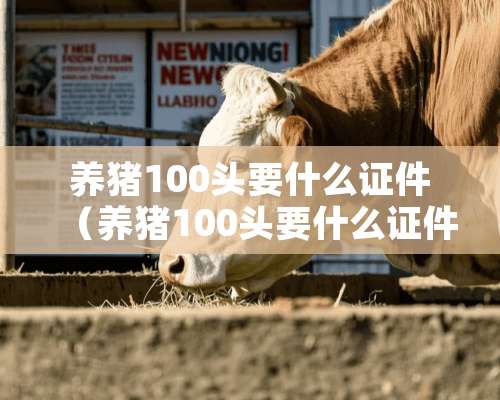 养猪100头要什么**（养猪100头要什么**才能养）