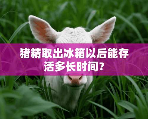 猪精取出冰箱以后能存活多长时间？