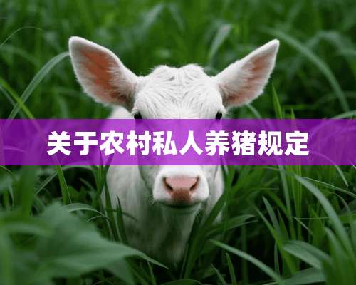 关于农村私人养猪规定