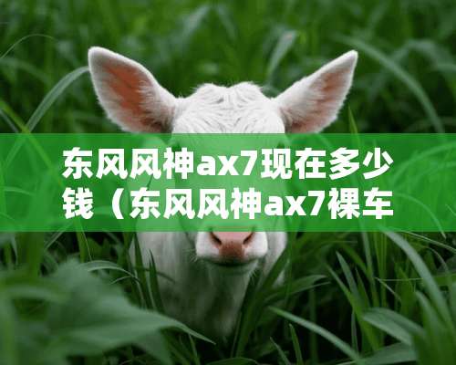 东风风神ax7现在多少钱（东风风神ax7*车价）