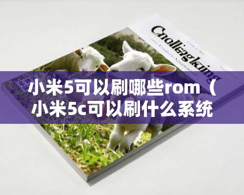 小米5可以刷哪些rom（小米5c可以刷什么系统）