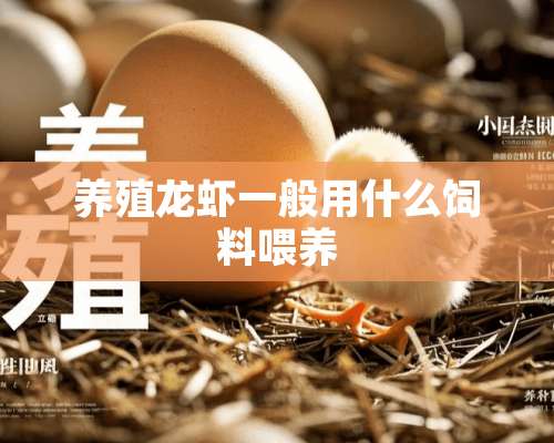 养殖龙虾一般用什么饲料喂养