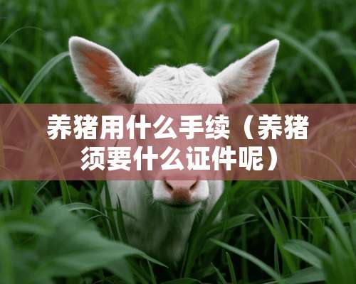 养猪用什么手续（养猪须要什么证件呢）