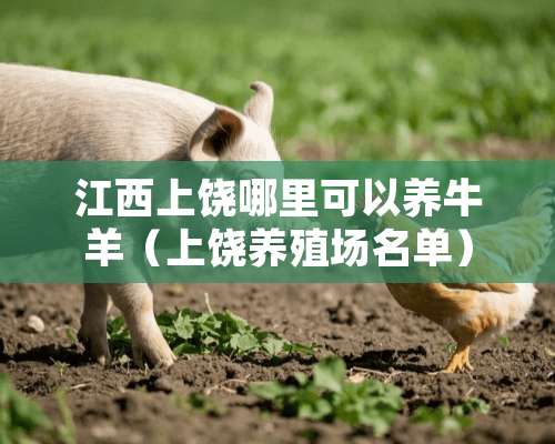 江西上饶哪里可以养**（上饶养殖场名单）