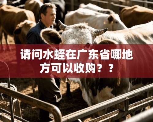 请问水蛭在广东省哪地方可以收购？？