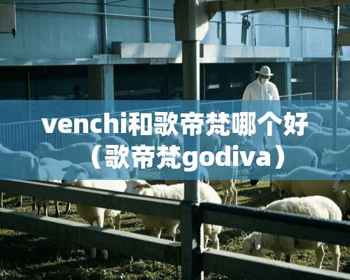 venchi和歌帝梵哪个好（歌帝梵godiva）