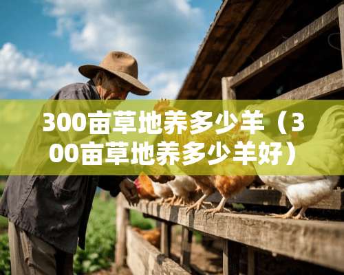 300亩草地养多少羊（300亩草地养多少羊好）