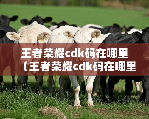 王者荣耀cdk码在哪里（王者荣耀cdk码在哪里看）