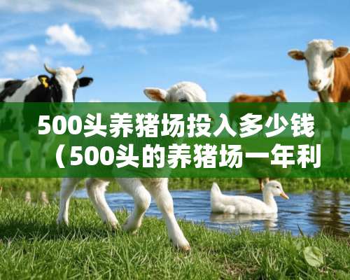 500头养猪场投入多少钱（500头的养猪场一年利润多少）