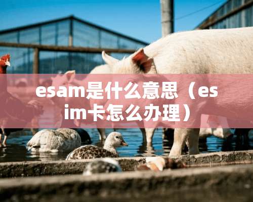 esam是什么意思（esim卡怎么办理）