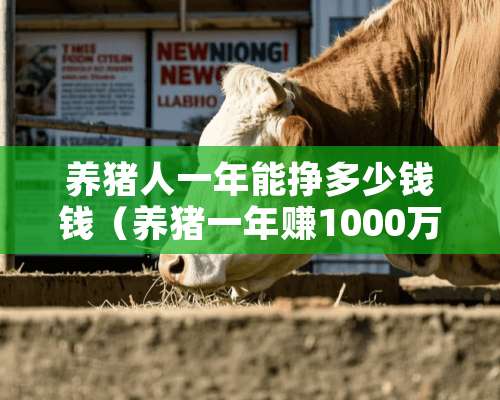 养猪人一年能挣多少钱钱（养猪一年赚1000万）