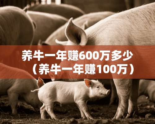 养牛一年赚600万多少（养牛一年赚100万）