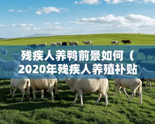 残疾人养鸭前景如何（2020年残疾人养殖补贴政策）