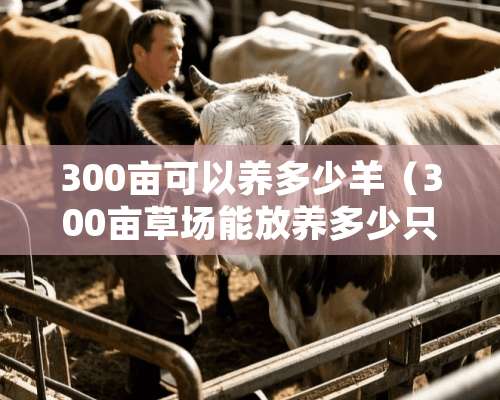 300亩可以养多少羊（300亩草场能放养多少只羊）