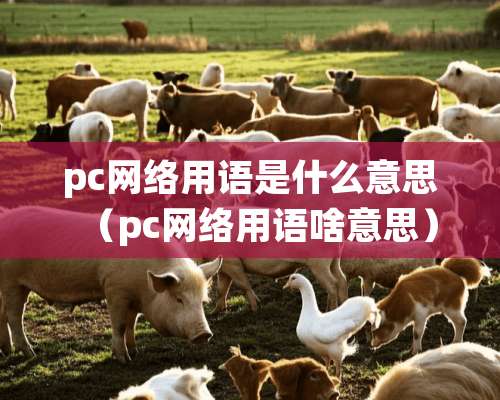 pc网络用语是什么意思（pc网络用语啥意思）