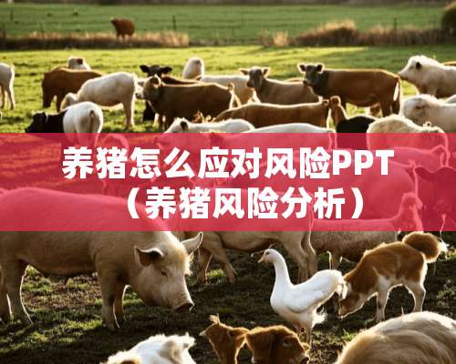 养猪怎么应对风险PPT（养猪风险分析）