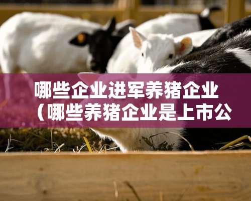 哪些企业进军养猪企业（哪些养猪企业是上市公司）