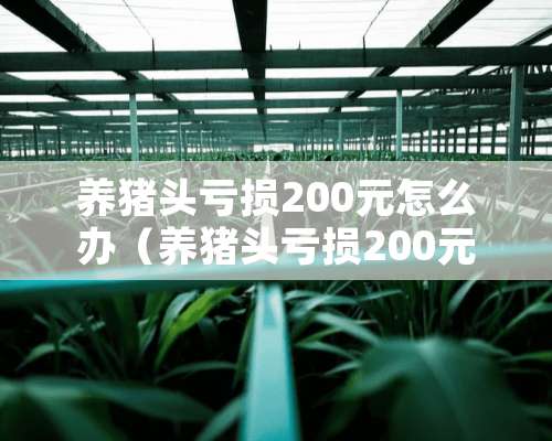 养猪头亏损200元怎么办（养猪头亏损200元怎么办理）