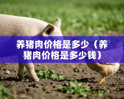 养猪肉价格是多少（养猪肉价格是多少钱）