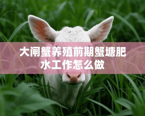 大闸蟹养殖前期蟹塘肥水工作怎么做