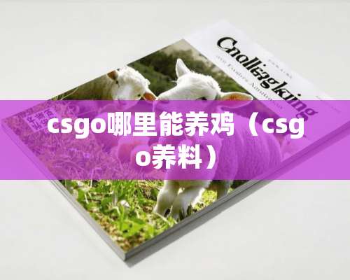 csgo哪里能养鸡（csgo养料）