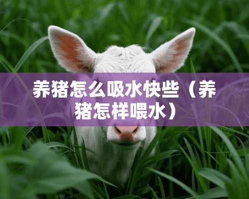 养猪怎么吸水快些（养猪怎样喂水）