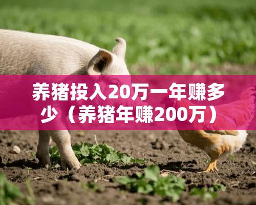 养猪投入20万一年赚多少（养猪年赚200万）