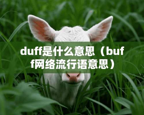 duff是什么意思（buff网络流行语意思）